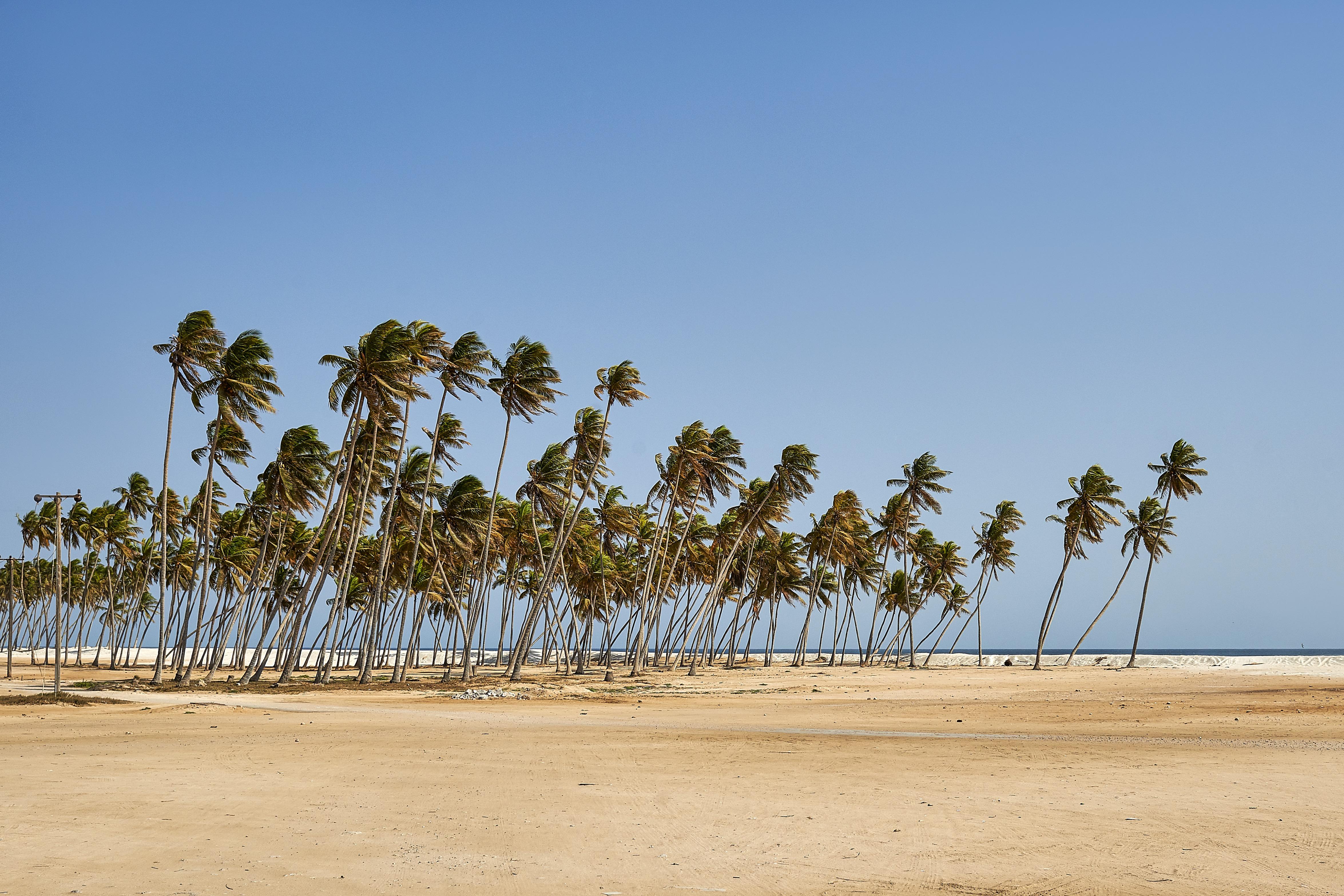 Salalah Gardens Hotel Managed By Safir Hotels & Resorts Exteriör bild